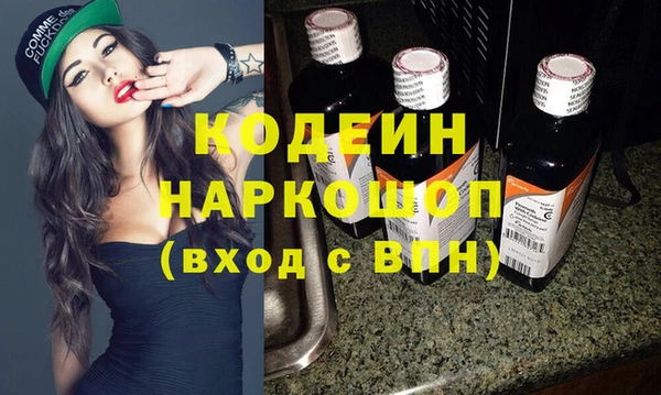 индика Нягань