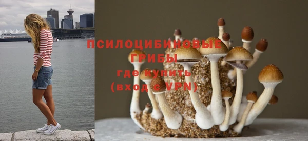 соль курить ск Балабаново