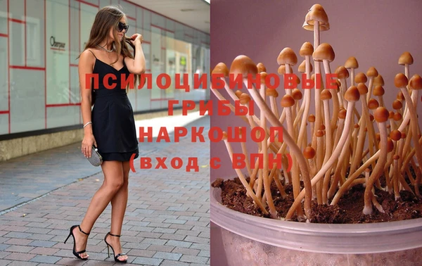 не бодяженный Баксан